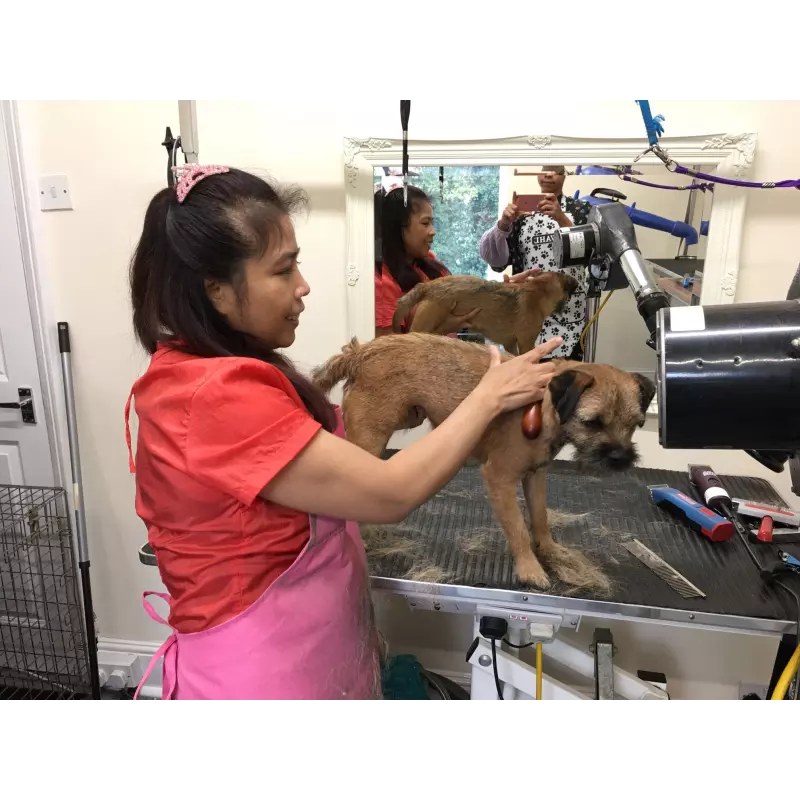 Woodseats Dog Grooming Salon